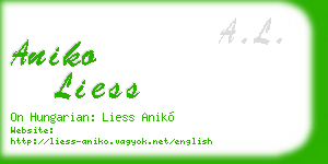 aniko liess business card